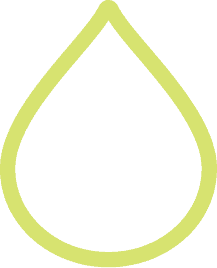 Vector